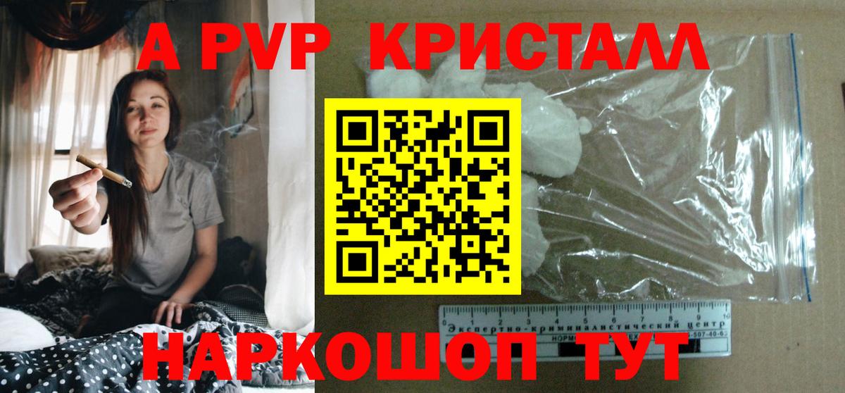 Alfa_PVP СК Михайловск
