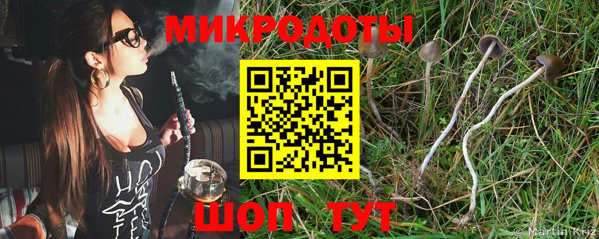 Галлюциногенные грибы Cubensis  Вход с VPN  Михайловск 